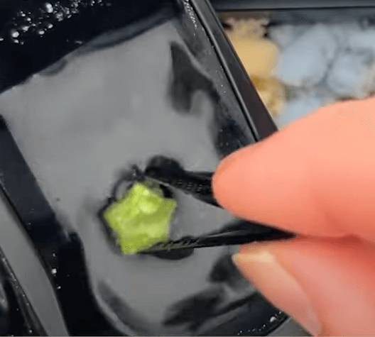 恐龍化石挖挖糖
