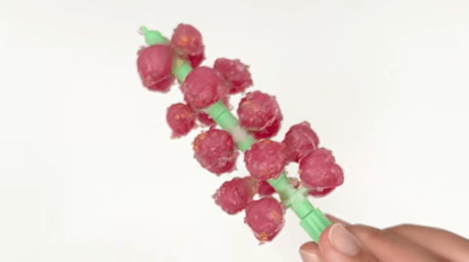 變變變提子串