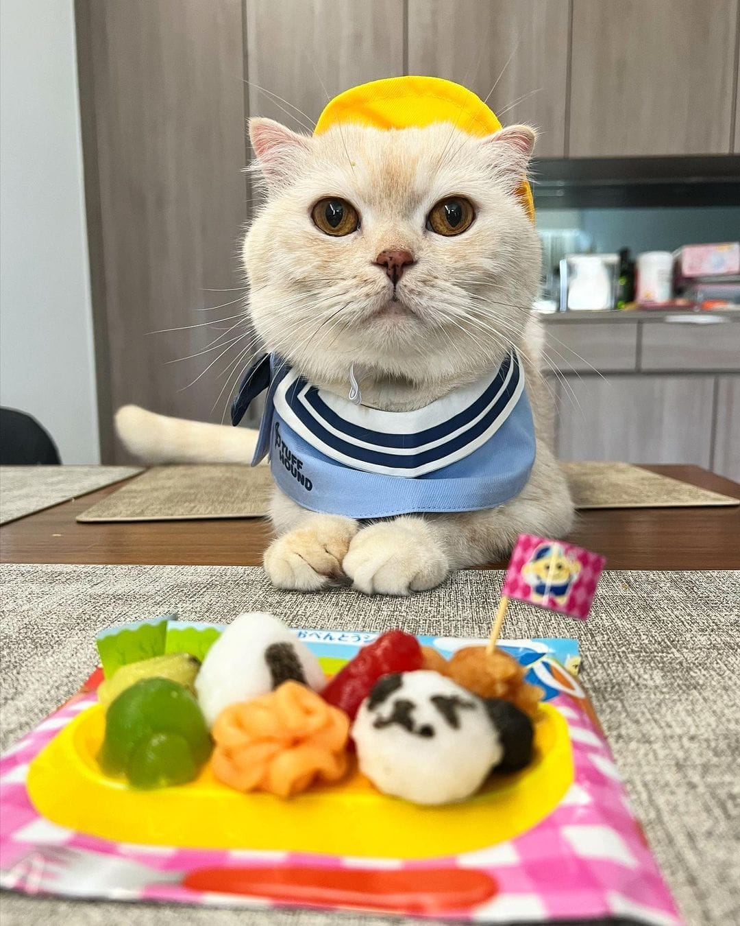 kracie ig sharing